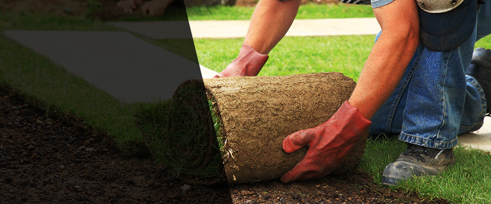 Tolono Landscapers